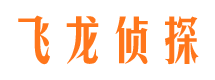 革吉侦探